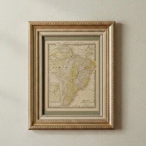 Antique 1800s Brazil South America Map Framed Gold Gilt Vintage Cartography Art